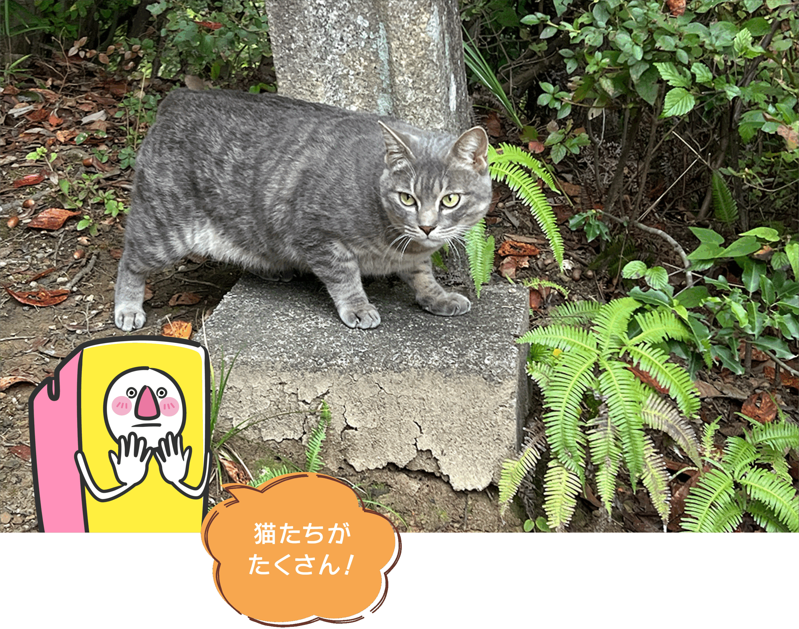 hirobakuntoiku_136-4