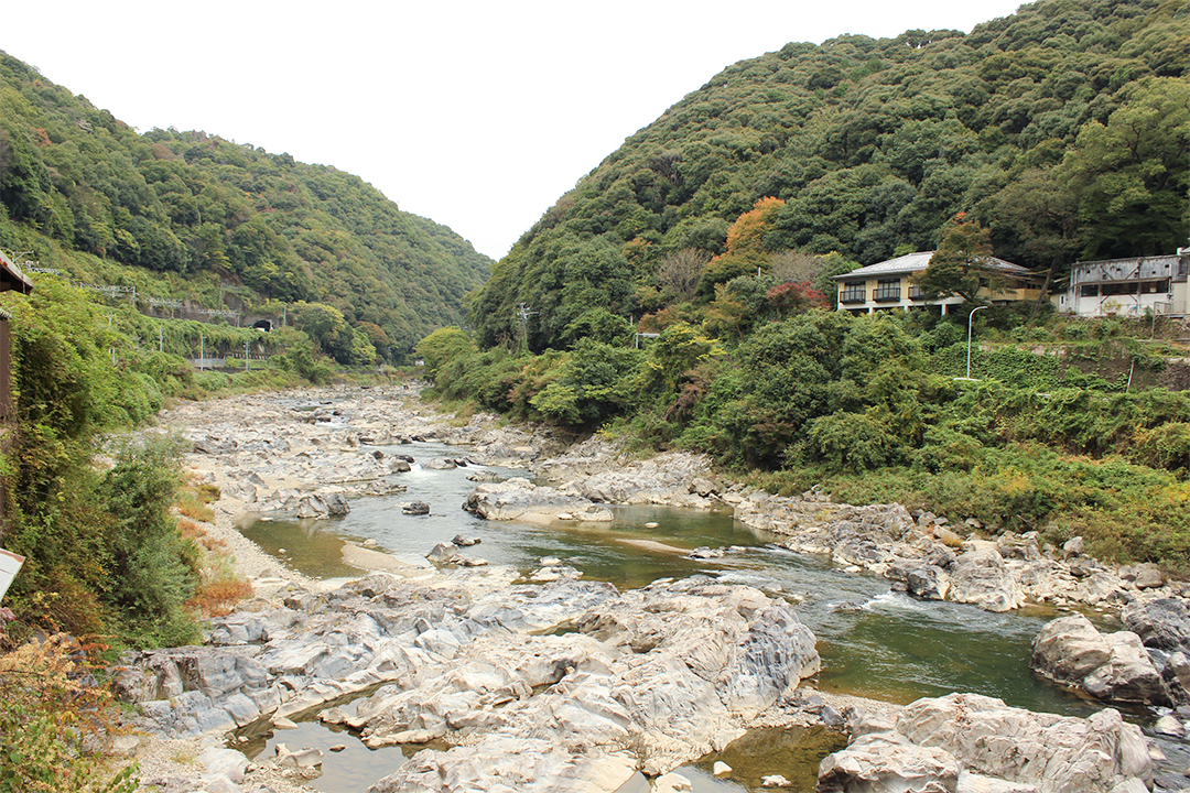猫,神社,愛知,春日井,猫,神社,玉野御嶽神社
