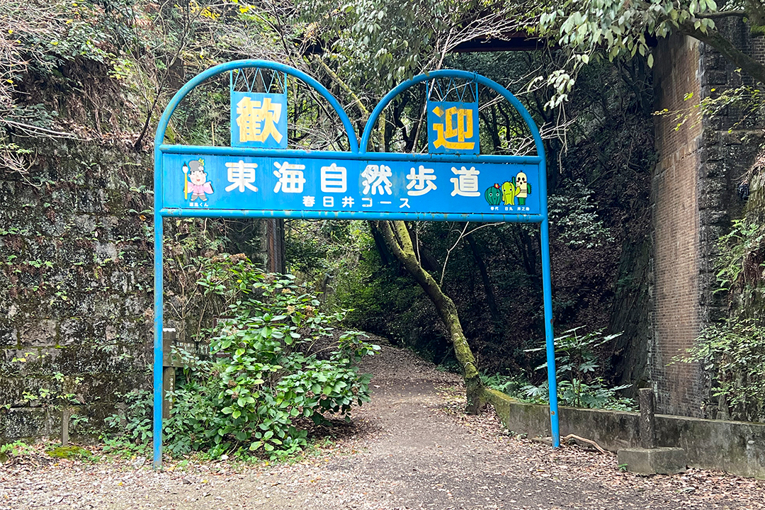 猫,神社,愛知,春日井,猫,神社,玉野御嶽神社