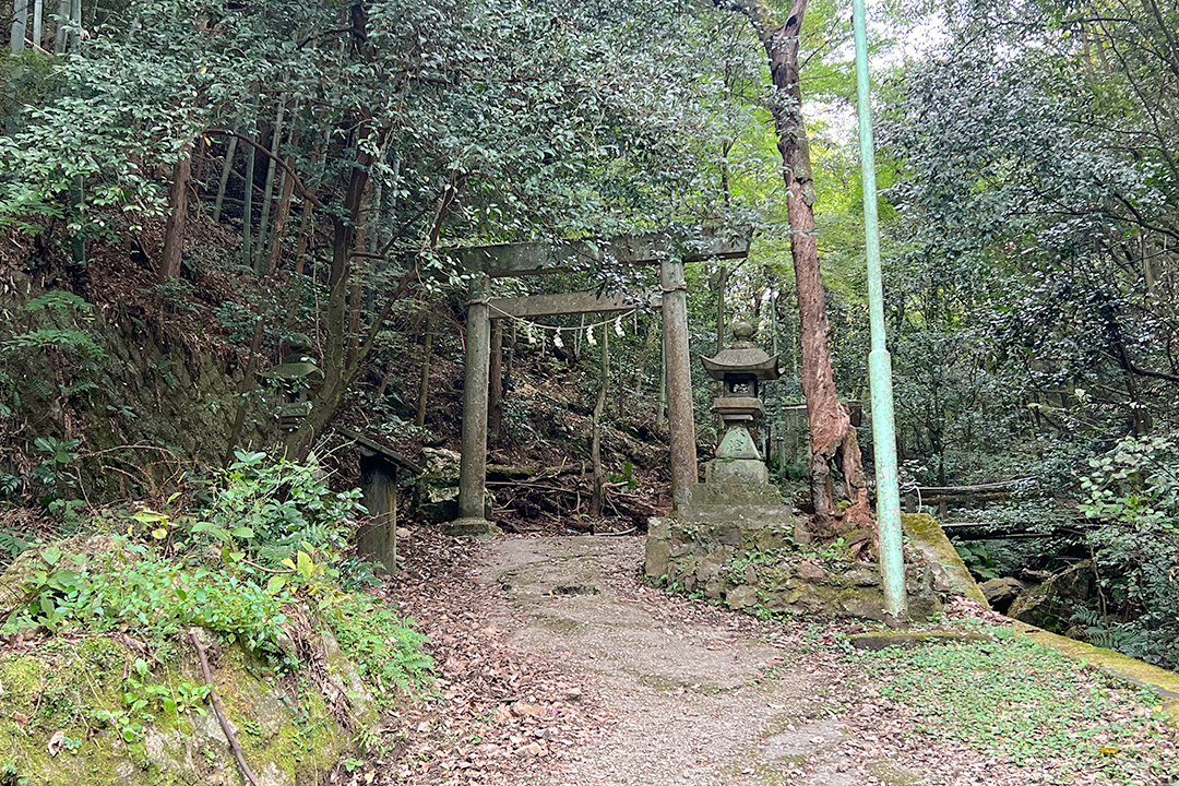 猫,神社,愛知,春日井,猫,神社,玉野御嶽神社