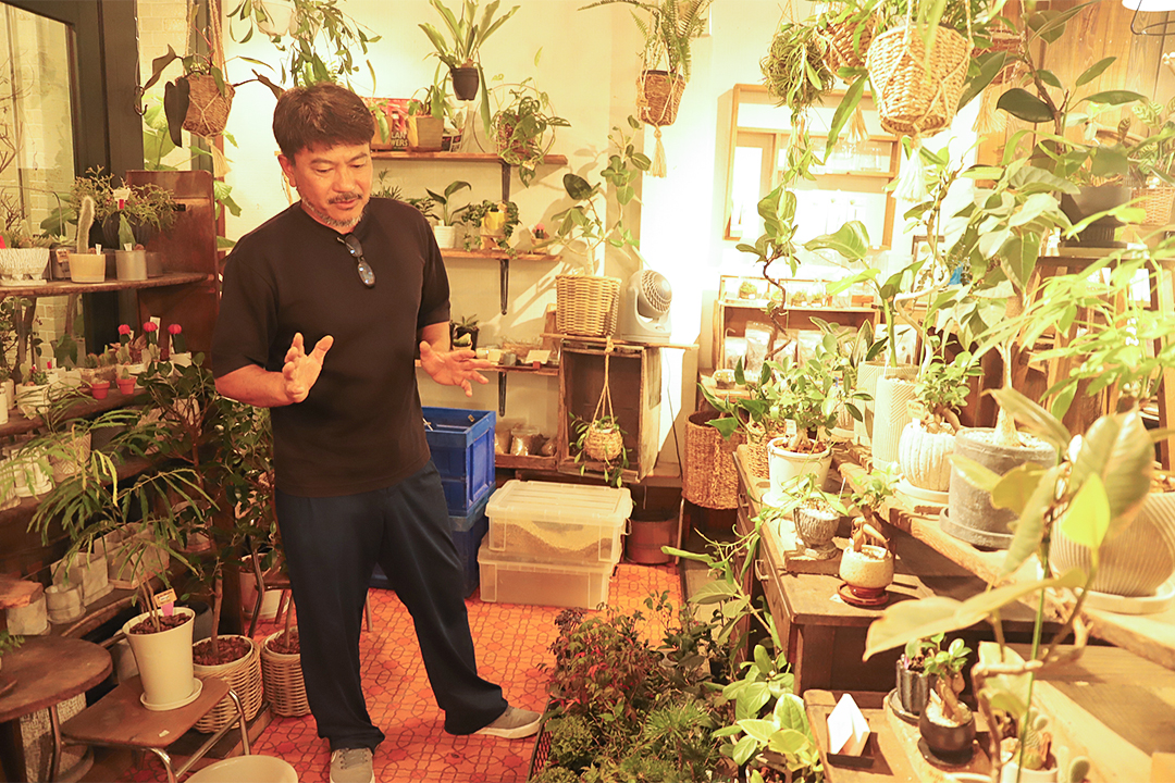 kitowa,きとわ,盆栽,体験,植物,名古屋,千種区