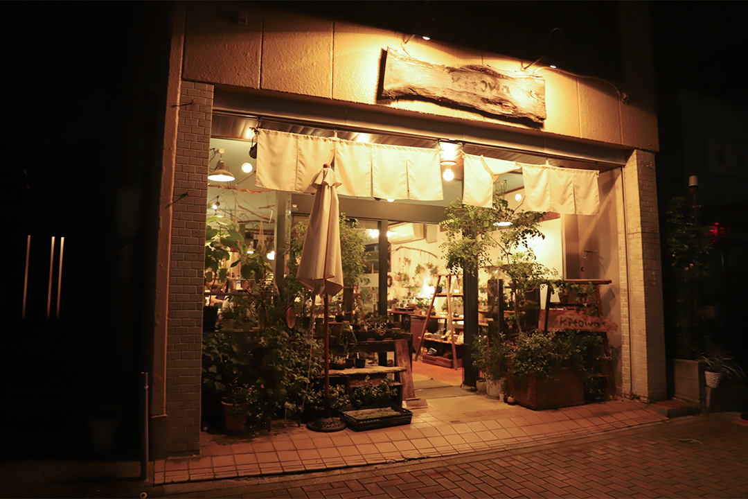 kitowa,きとわ,盆栽,体験,植物,名古屋,千種区