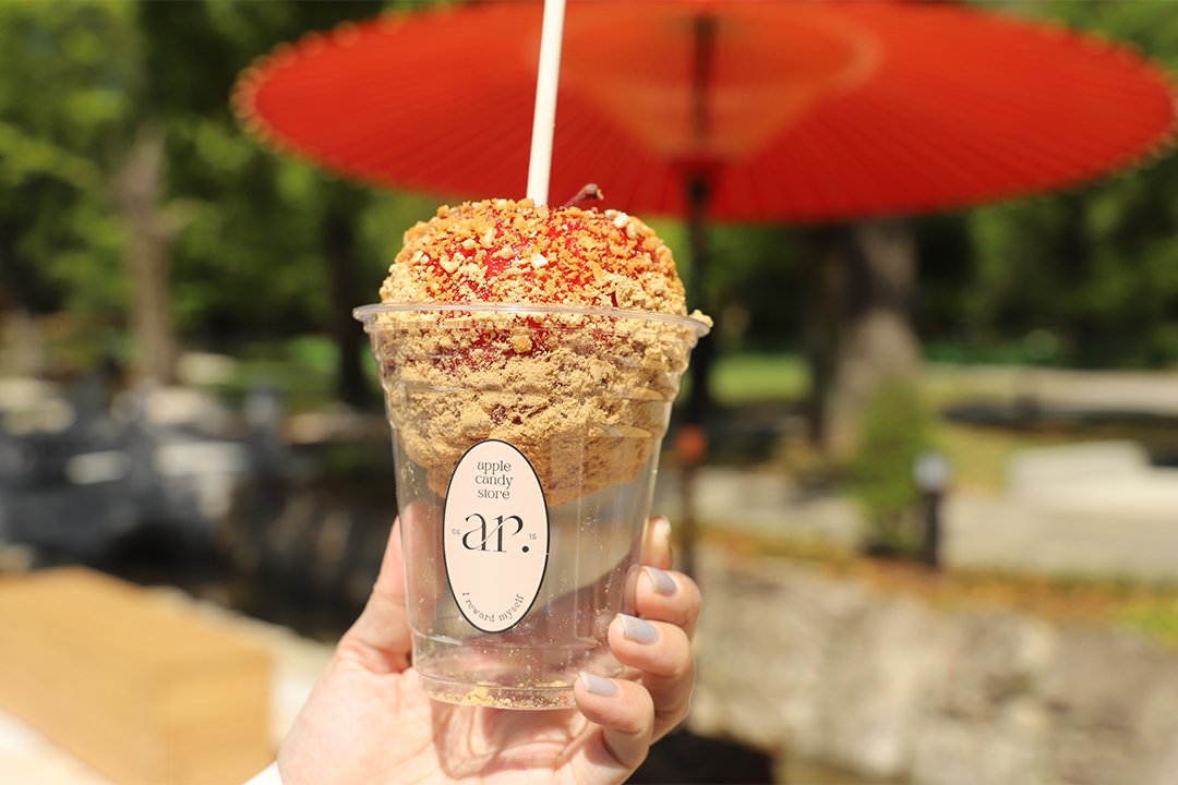 hirobakuntoiku_129-12