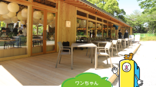 hirobakuntoiku_129-19-320×180