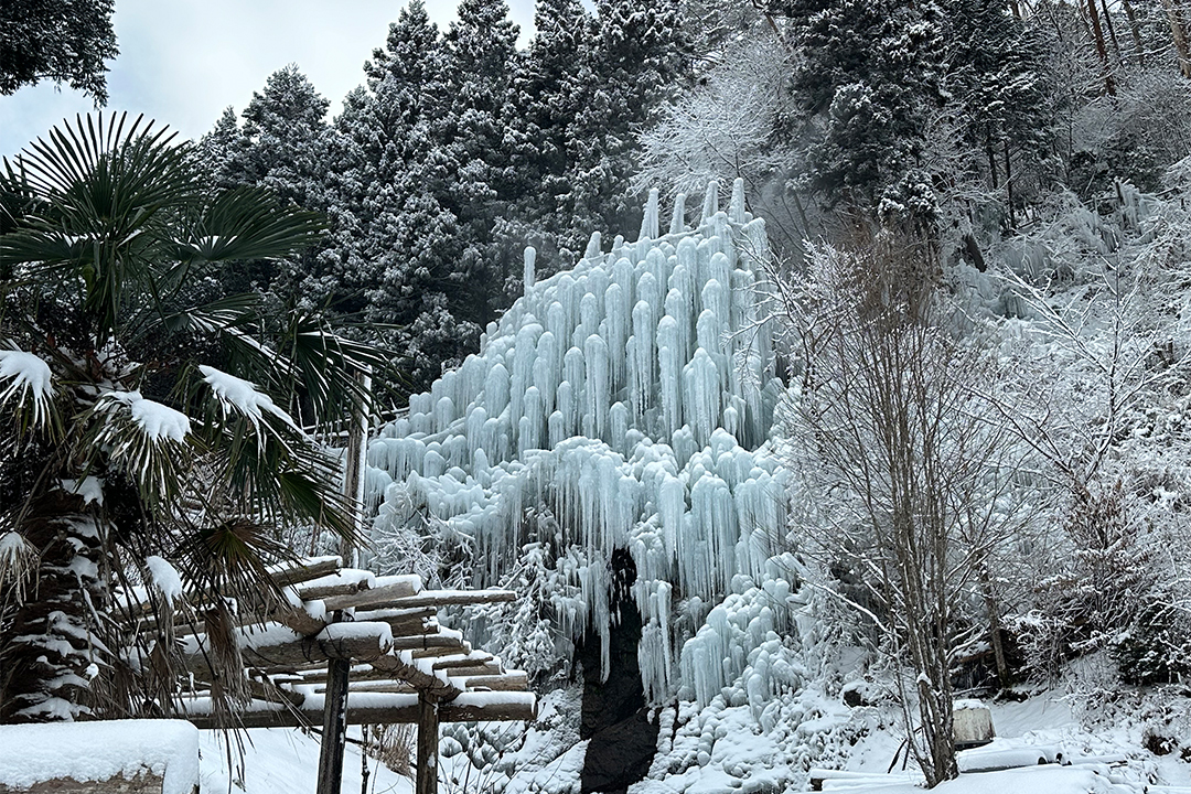 フォトジェニック,冬,イルミネーション,ライトアップ,氷瀑,樹氷,おでかけ,愛知,岐阜,三重