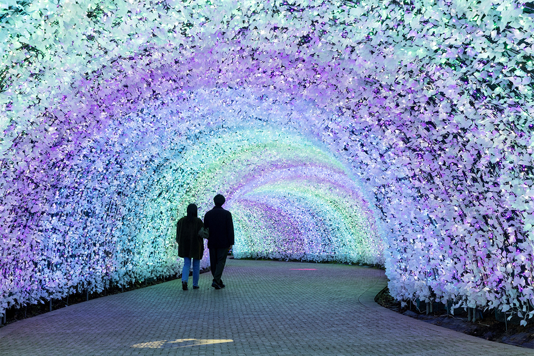 フォトジェニック,冬,イルミネーション,ライトアップ,氷瀑,樹氷,おでかけ,愛知,岐阜,三重