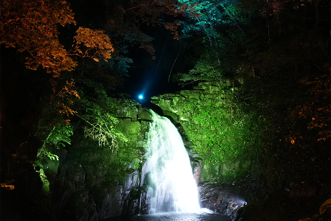 フォトジェニック,冬,イルミネーション,ライトアップ,氷瀑,樹氷,おでかけ,愛知,岐阜,三重