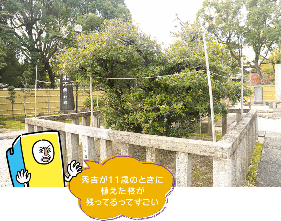 豊臣兄弟,秀吉,スポット,大河ドラマ,おでかけ,豊臣ミュージアム,名古屋