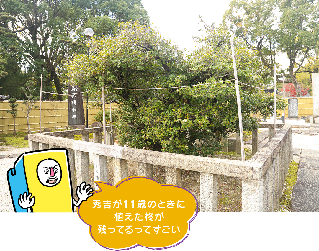 hirobakuntoiku_137-17