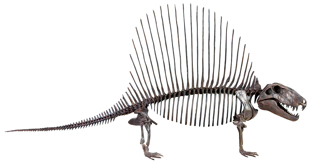 大絶滅展,名古屋,名古屋市科学館,イベント