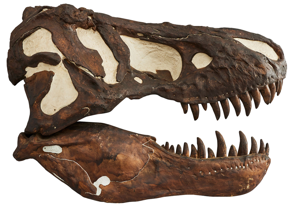 大絶滅展,名古屋,名古屋市科学館,イベント