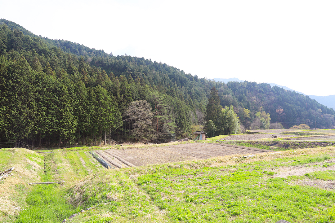 農ランドビール,白川町,里山体験,自然体験,岐阜,クラフトビール