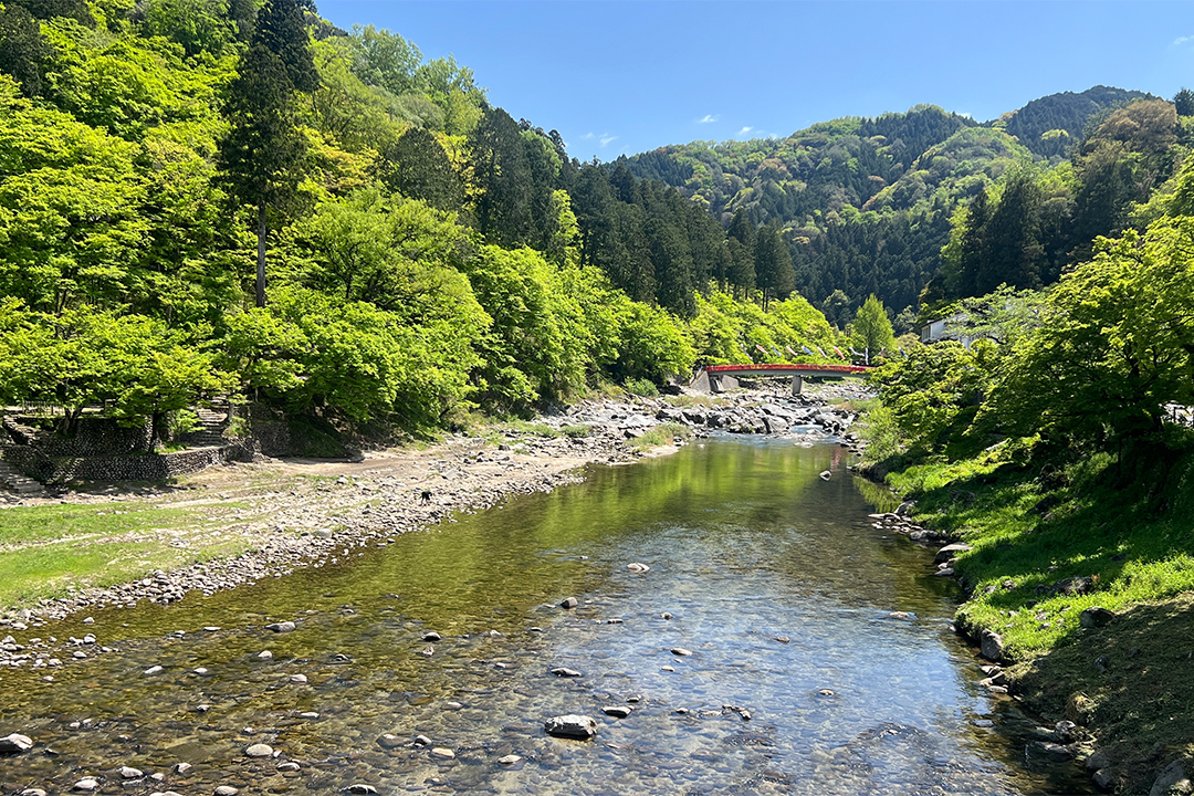 足助,足助町,足助の町並み,食べ歩き,観光