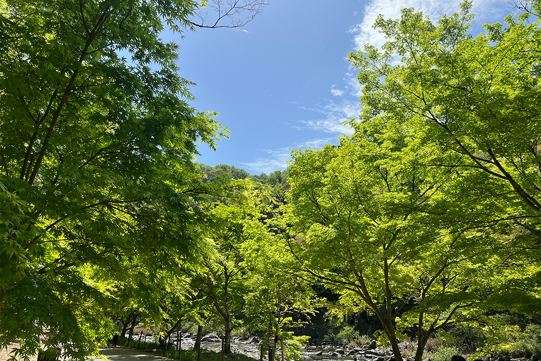 足助,足助町,足助の町並み,食べ歩き,観光