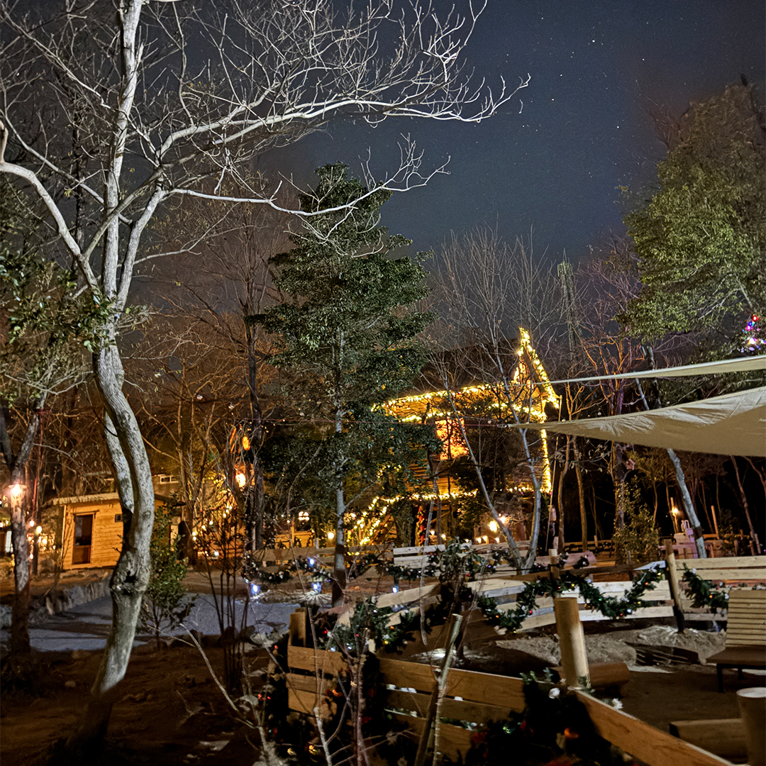 seasontrip_73-25