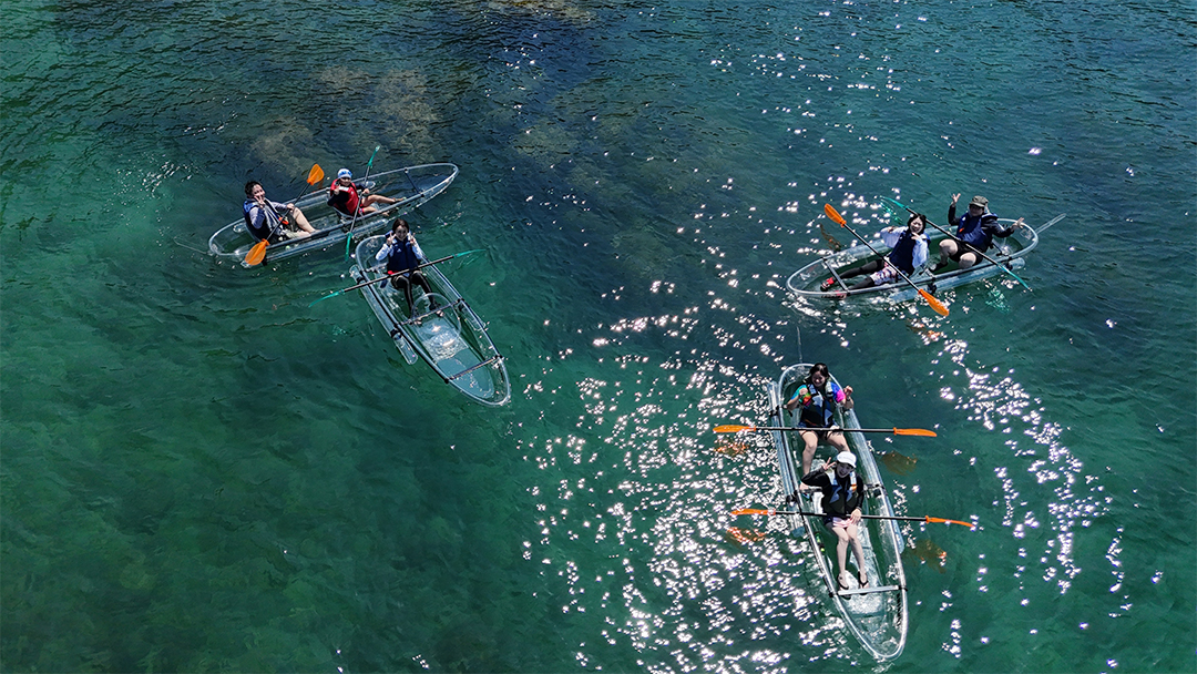 グランピング,愛知,岐阜,三重,ツリーハウス,菰野,いちご狩り,BBQ,ペット