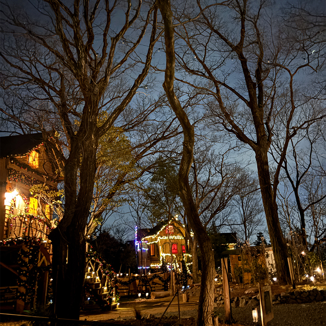 seasontrip_73-38