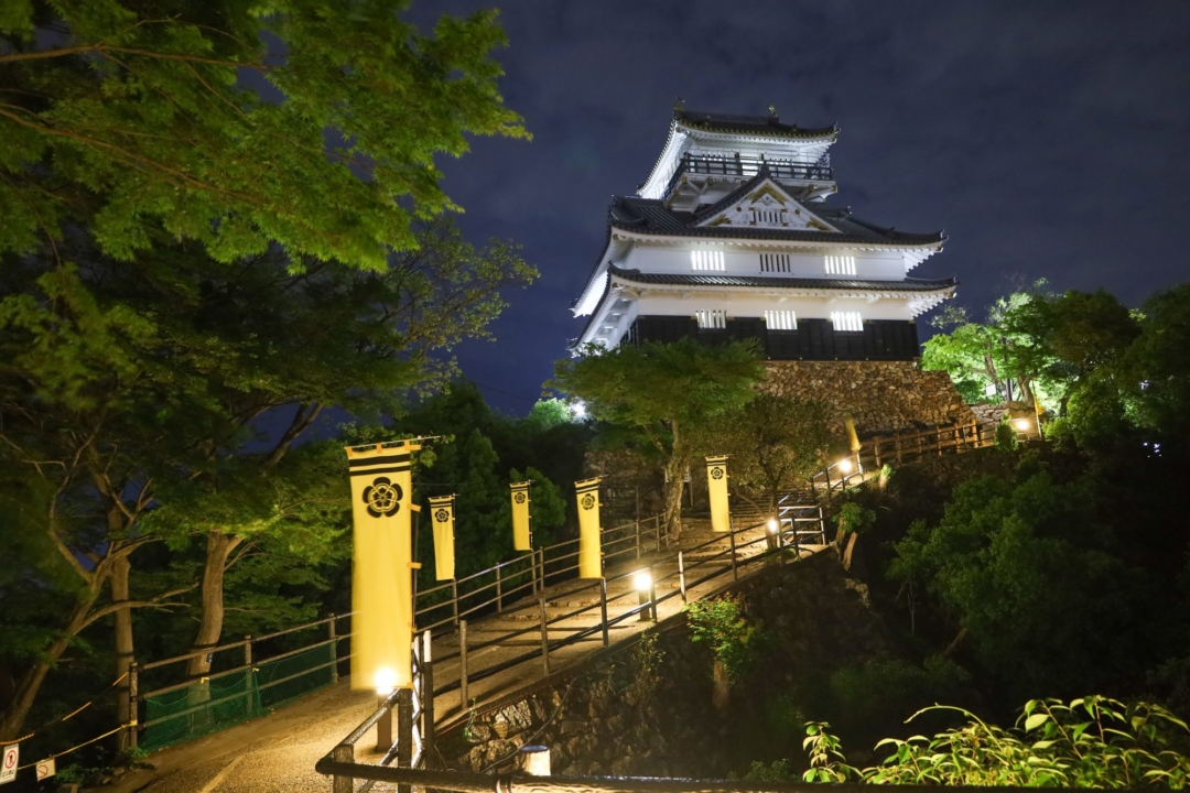 岐阜城,夜景,金華山,展望台,岐阜