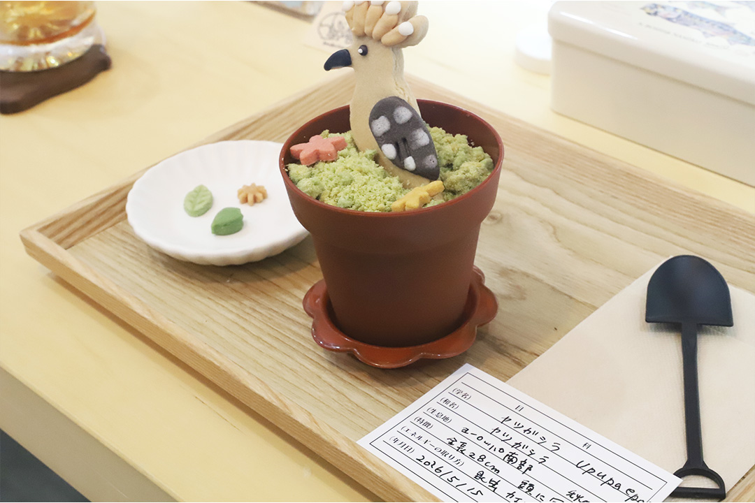 いきものクッキーアート、三重県、桑名市、スイーツ、カフェ、イベント