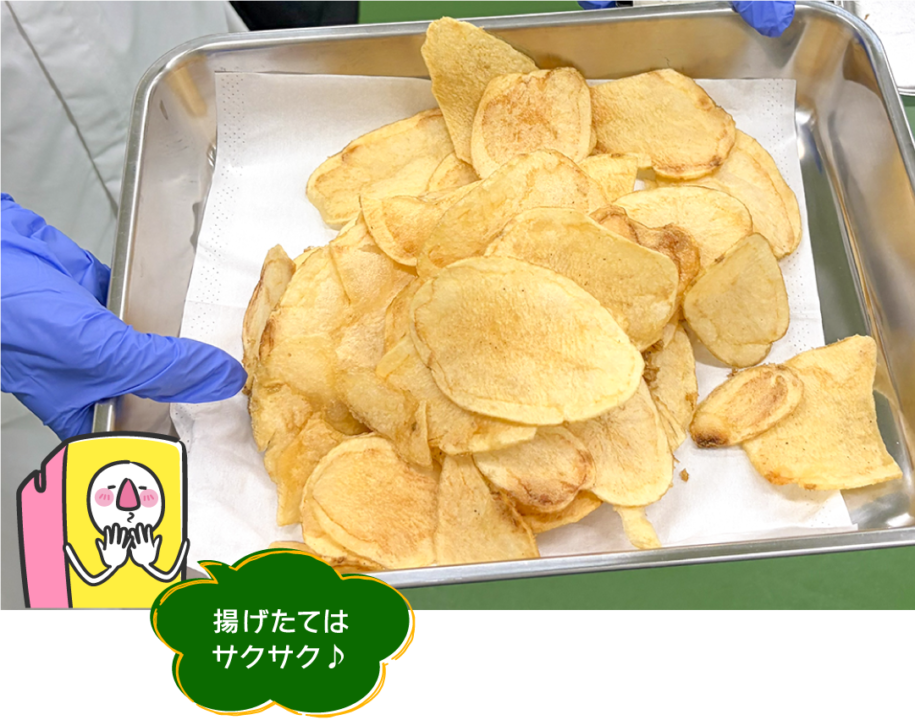 海津市,湖池屋, 湖池屋GOGO！ファクトリー,工場見学,ポテトチップス