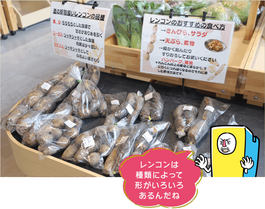 愛西市,ハスパーク,道の駅,hasuパーク,遊具,ドッグラン
