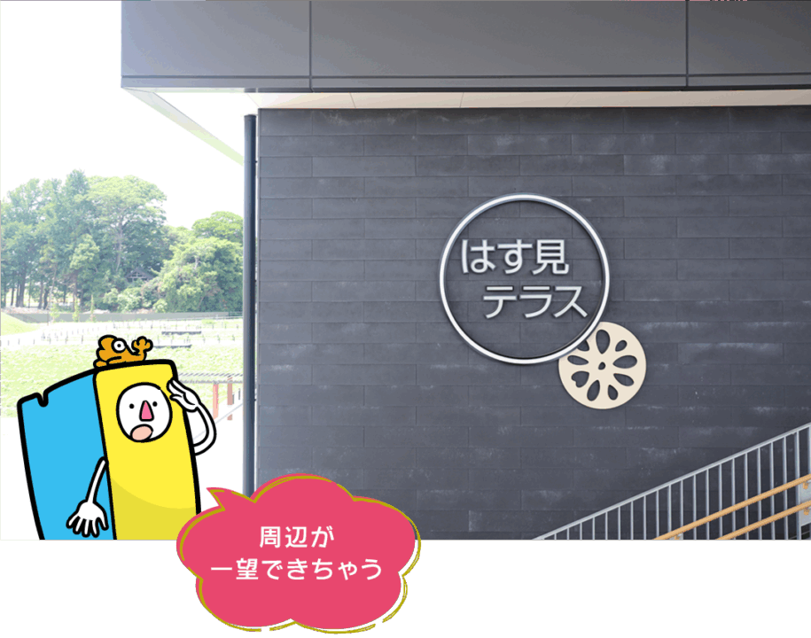 愛西市,ハスパーク,道の駅,hasuパーク,遊具,ドッグラン