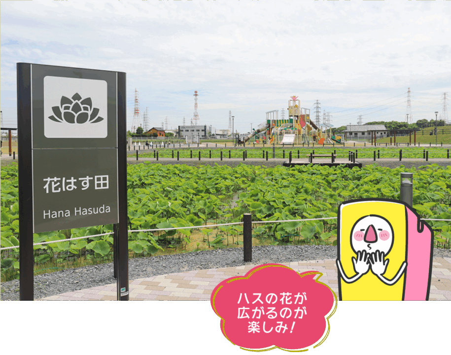 愛西市,ハスパーク,道の駅,hasuパーク,遊具,ドッグラン