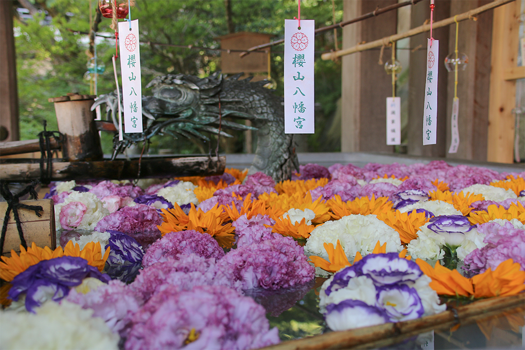 桜山風鈴まつり,風鈴,2026,ライトアップ,高山