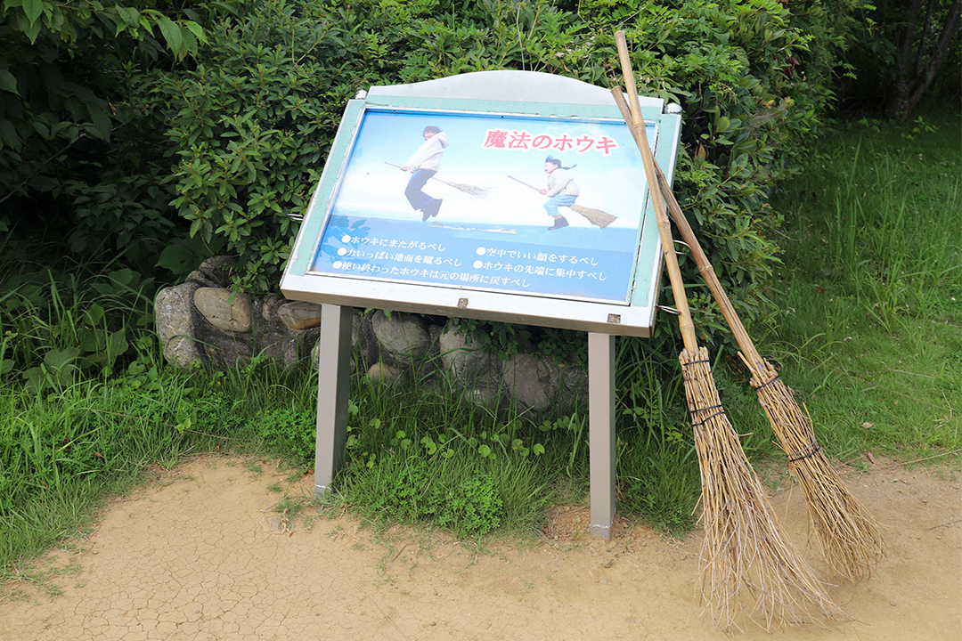イルカ島,鳥羽,料金,アクセス,フェリー
