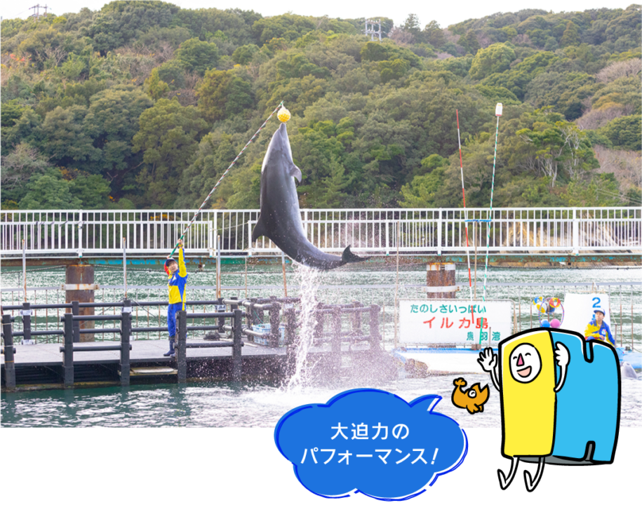 イルカ島,鳥羽,料金,アクセス,フェリー
