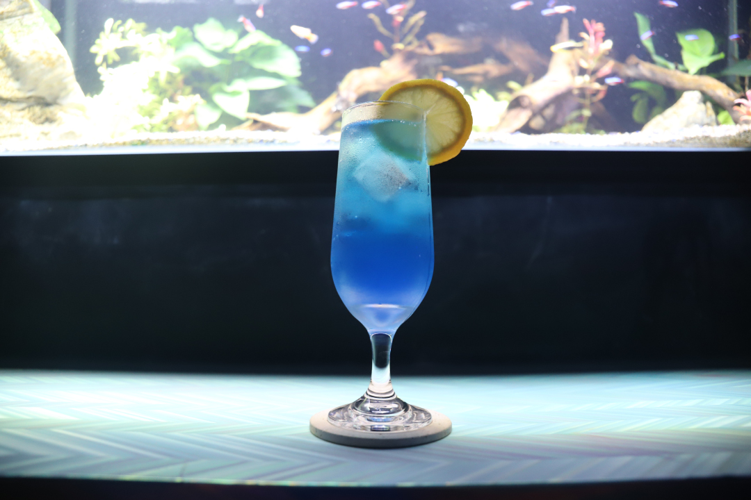 大須,たまには酒店,ウイスキー,試飲,熱帯魚,カフェ,バー