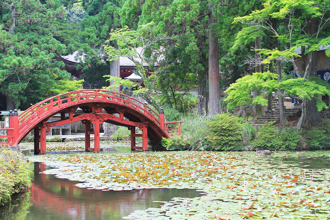 低山,登山,愛知,岐阜,三重,おすすめ,熊,好日山荘