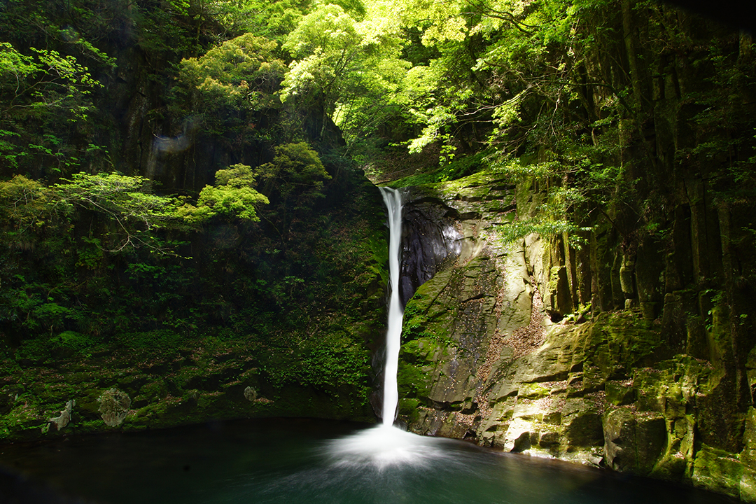 低山,登山,愛知,岐阜,三重,おすすめ,熊,好日山荘