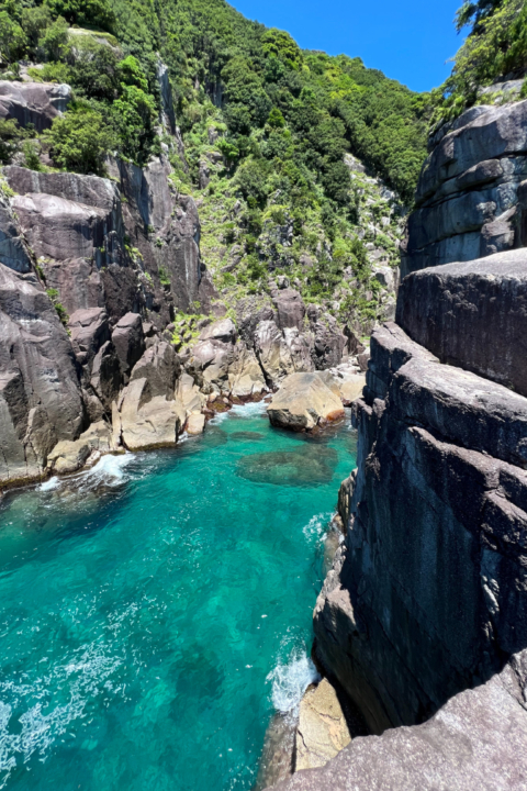 低山,登山,愛知,岐阜,三重,おすすめ,熊,好日山荘