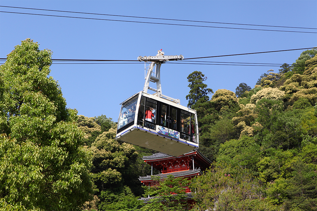 低山,登山,愛知,岐阜,三重,おすすめ,熊,好日山荘