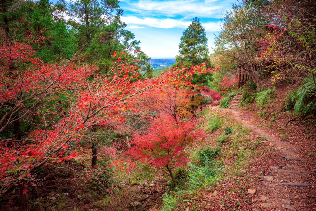 低山,登山,愛知,岐阜,三重,おすすめ,熊,好日山荘