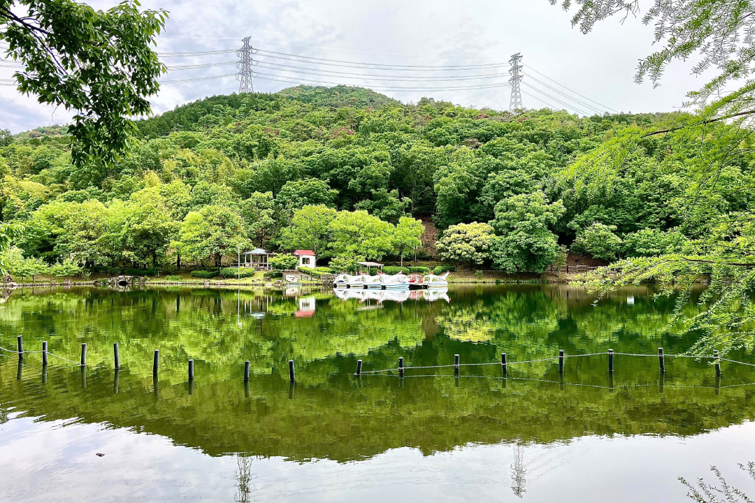 低山,登山,愛知,岐阜,三重,おすすめ,熊,好日山荘